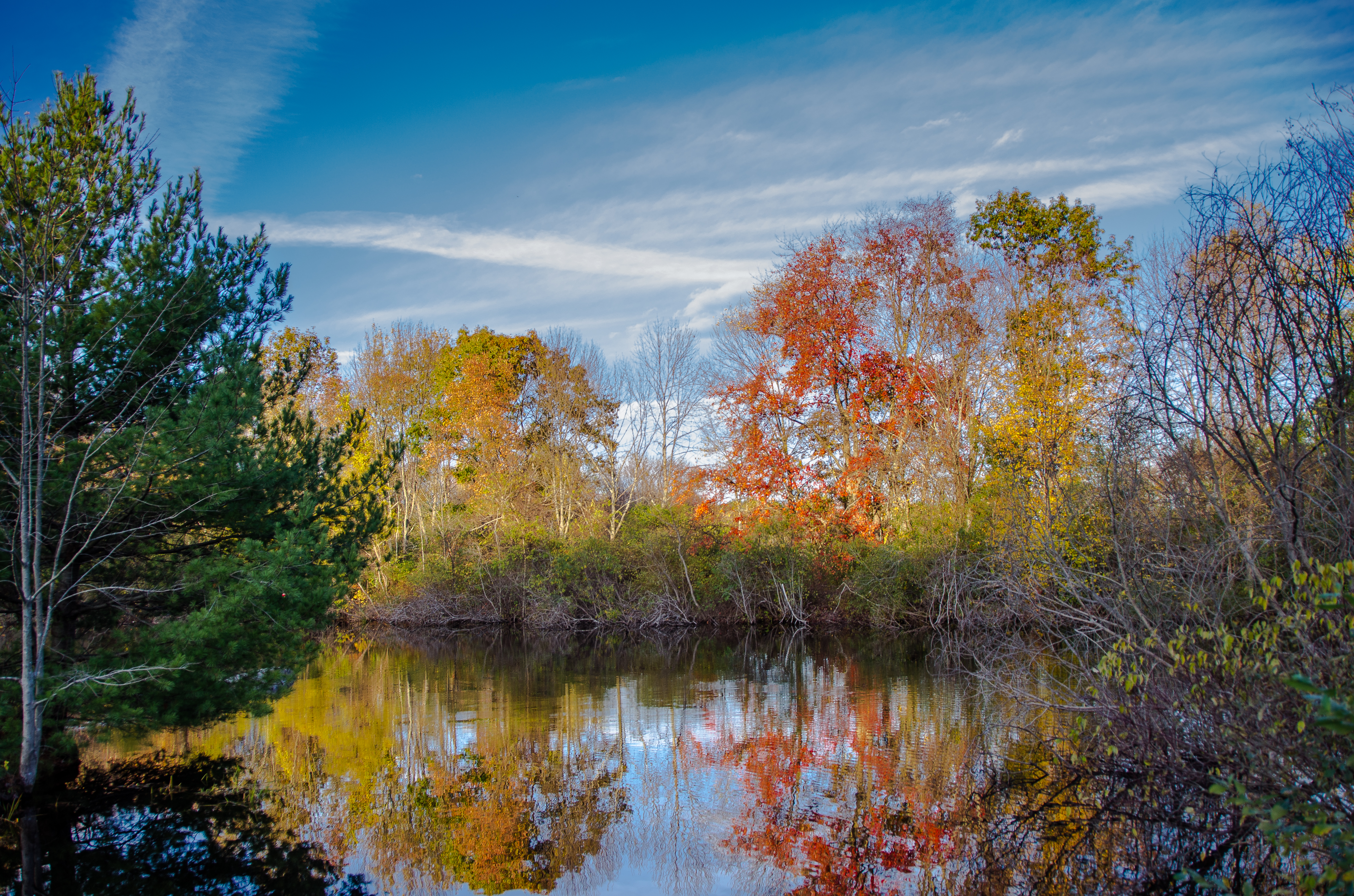 Callahan State Park in Framingham with wide family-friendly trails