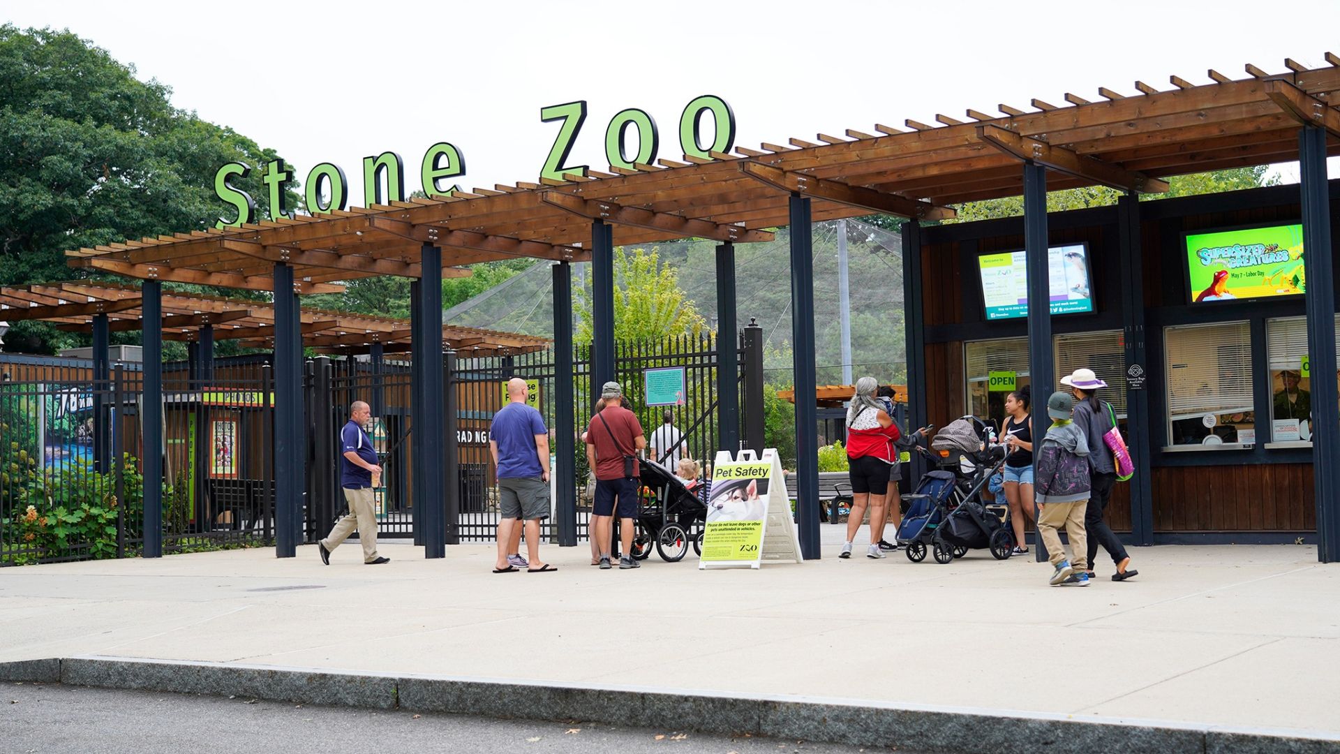 Child in costume looking into an animal habitat at Stone Zoo, daylight