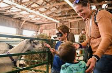 Topsfield Fair with Toddlers